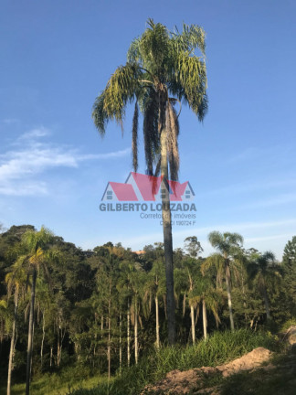 Imagem Terreno à Venda, 77.640 m² em Val Flor - Embu-guaçu