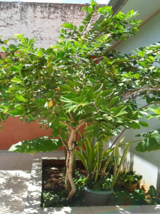 Imagem Casa com 3 Quartos à Venda, 250 m² em Jardim Cidade Nova (nova Veneza) - Sumaré Imagem Casa com 3 Quartos à Venda, 250 m² em Jardim Cidade Nova (nova Veneza) - Sumaré