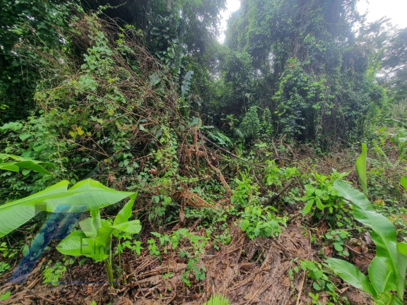Imagem Terreno à Venda, 531 m² em Itamambuca - Ubatuba Imagem Terreno à Venda, 531 m² em Itamambuca - Ubatuba