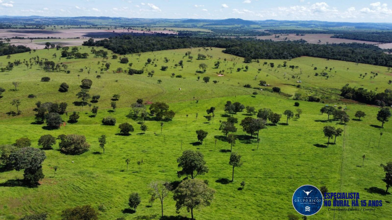 Imagem Fazenda à Venda, 26 m² em Zona Rural - Santa Bárbara De Goiás Imagem Fazenda à Venda, 26 m² em Zona Rural - Santa Bárbara De Goiás