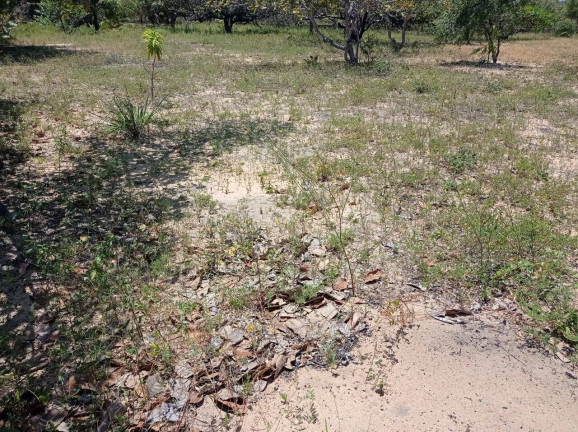 Imagem Terreno à Venda, 360 m² em Carapibus - Conde Imagem Terreno à Venda, 360 m² em Carapibus - Conde