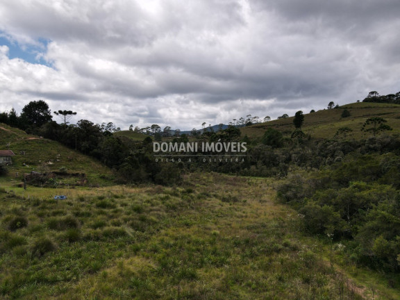 Imagem Terreno à Venda, 7.500 m² em Região Do Parque Da Ferradura - Campos Do Jordão Imagem Terreno à Venda, 7.500 m² em Região Do Parque Da Ferradura - Campos Do Jordão