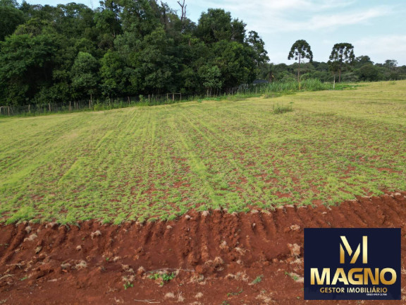Imagem Chácara à Venda, 2 m² em Zona Rural - Cascavel Imagem Chácara à Venda, 2 m² em Zona Rural - Cascavel
