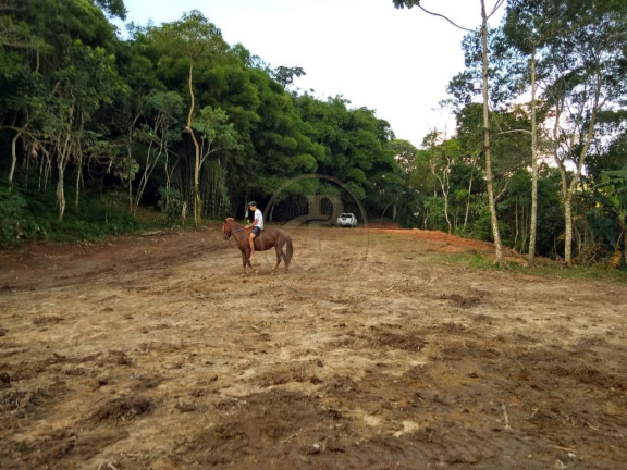 Imagem Chácara à Venda, em São Benedito - Monteiro Lobato Imagem Chácara à Venda, em São Benedito - Monteiro Lobato