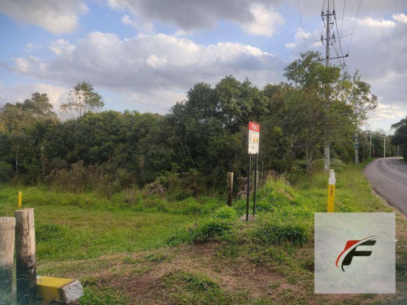 Imagem Terreno à Venda, 98.069 m² em Campo De Santana - Curitiba Imagem Terreno à Venda, 98.069 m² em Campo De Santana - Curitiba