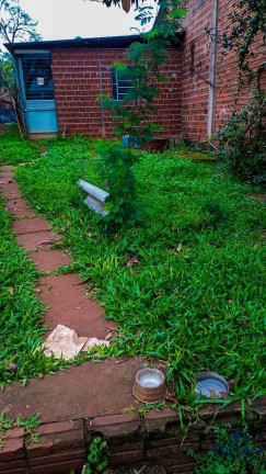 Imagem Terreno à Venda, 550 m² em Universitário - Lajeado Imagem Terreno à Venda, 550 m² em Universitário - Lajeado