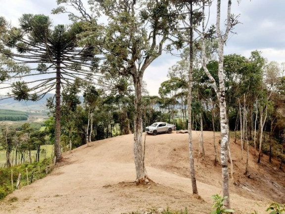 Imagem Imóvel à Venda, 28.900 m² em Zona Rural - Bom Retiro Imagem Imóvel à Venda, 28.900 m² em Zona Rural - Bom Retiro
