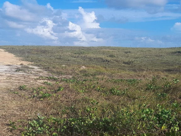 Imagem Terreno à Venda, 2.800 m² em Centro - Entre Rios Imagem Terreno à Venda, 2.800 m² em Centro - Entre Rios