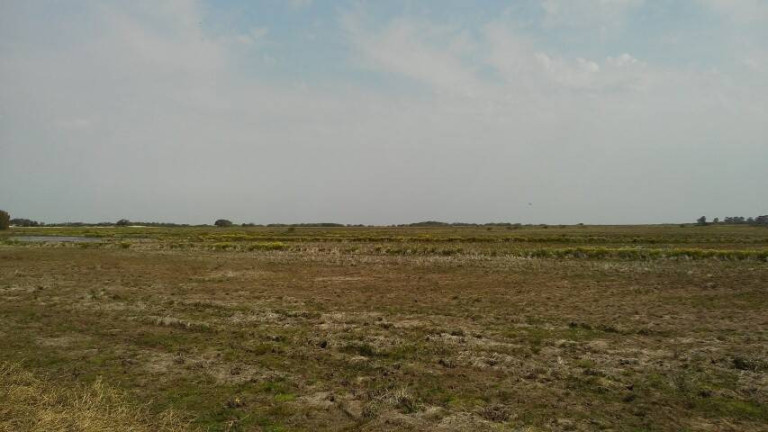 Imagem Chácara à Venda, 194 m² em águas Claras - Viamão