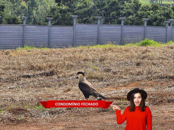 Imagem Terreno à Venda, 1.000 m² em Curitibanos - Bragança Paulista Imagem Terreno à Venda, 1.000 m² em Curitibanos - Bragança Paulista