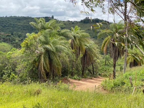 Imagem Imóvel à Venda, 3.629 m² em Quintas Da Serra - Caeté Imagem Imóvel à Venda, 3.629 m² em Quintas Da Serra - Caeté