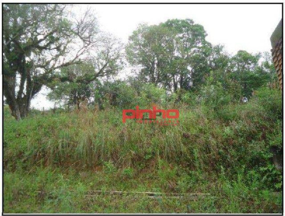 Imagem Terreno à Venda, 36 m² em Fundo Canoas - Rio Do Sul Imagem Terreno à Venda, 36 m² em Fundo Canoas - Rio Do Sul