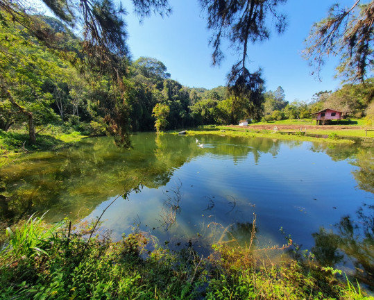 Imagem Imóvel com 14 Quartos à Venda, 56.000 m² em Barnabés - Juquitiba