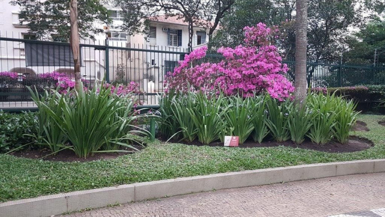 Imagem Apartamento com 3 Quartos à Venda, 115 m² em Higienópolis - São Paulo Imagem Apartamento com 3 Quartos à Venda, 115 m² em Higienópolis - São Paulo