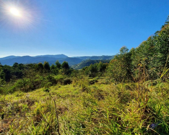 Imagem Imóvel com 1 Quarto à Venda, 96.000 m² em Dom Joaquim - Brusque Imagem Imóvel com 1 Quarto à Venda, 96.000 m² em Dom Joaquim - Brusque