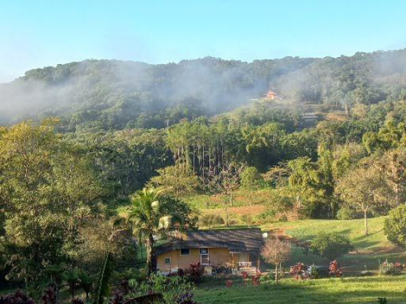 Imagem Imóvel com 4 Quartos à Venda, 68.000 m² em Centro - Morretes Imagem Imóvel com 4 Quartos à Venda, 68.000 m² em Centro - Morretes