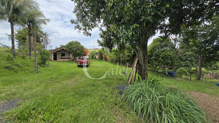 Imagem Chácara com 3 Quartos à Venda, 44.000 m² em Mato Seco - Mogi Guaçu Imagem Chácara com 3 Quartos à Venda, 44.000 m² em Mato Seco - Mogi Guaçu