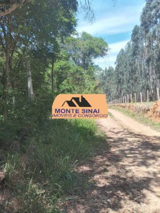 Imagem Chácara à Venda, 48.000 m² em Centro - Pilar Do Sul Imagem Chácara à Venda, 48.000 m² em Centro - Pilar Do Sul