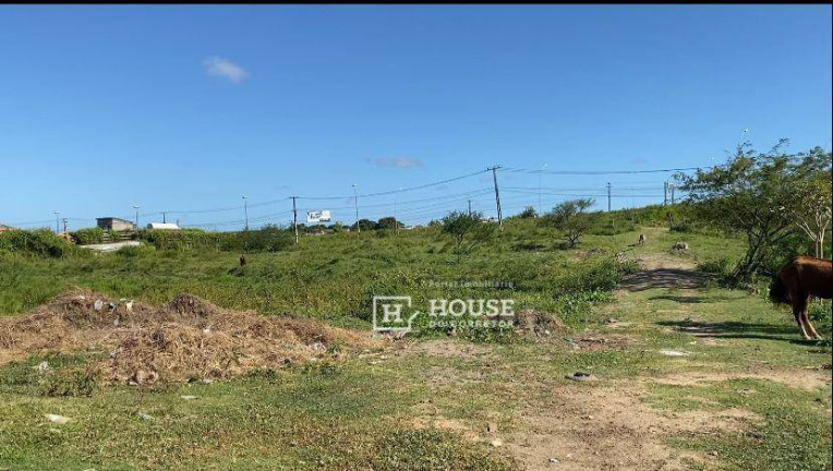 Imagem Terreno à Venda, 10.605 m² em Nossa Senhora Do Socorro - Nossa Senhora Do Socorro Imagem Terreno à Venda, 10.605 m² em Nossa Senhora Do Socorro - Nossa Senhora Do Socorro