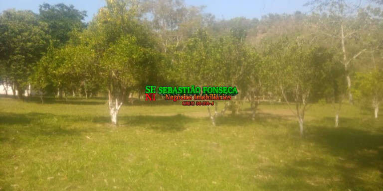 Imagem Chácara com 2 Quartos à Venda, 21.000 m² em Centro - Caçapava Imagem Chácara com 2 Quartos à Venda, 21.000 m² em Centro - Caçapava
