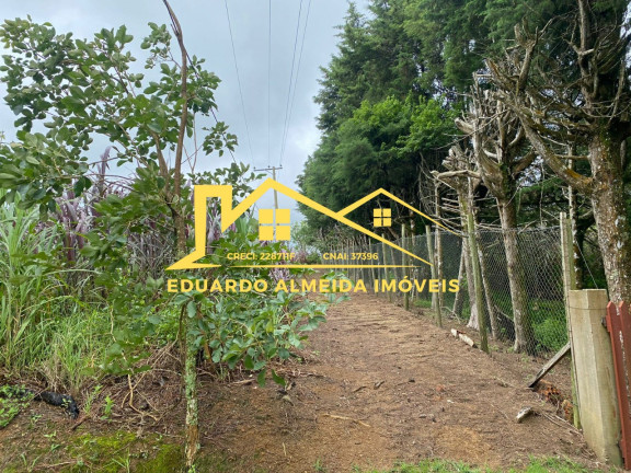 Imagem Imóvel com 3 Quartos à Venda, 2 m² em Centro - Gramadinho Imagem Imóvel com 3 Quartos à Venda, 2 m² em Centro - Gramadinho