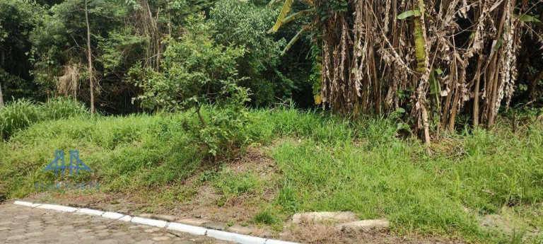 Imagem Terreno à Venda, 471 m² em Córrego Grande - Florianópolis