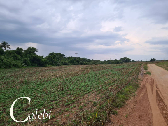 Imagem Chácara à Venda, 7 m² em área Rural De Conchal - Conchal Imagem Chácara à Venda, 7 m² em área Rural De Conchal - Conchal