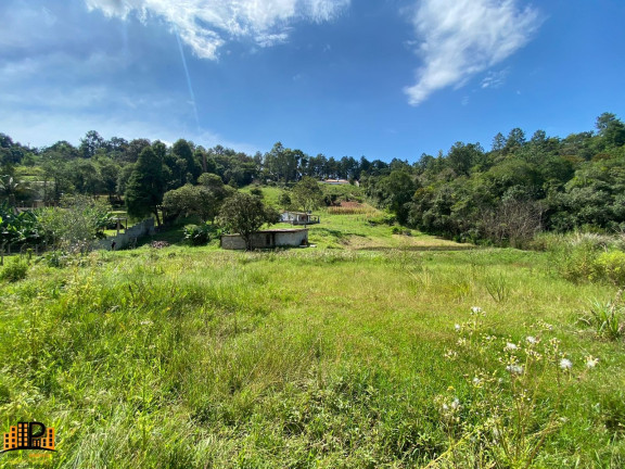 Imagem Imóvel com 2 Quartos à Venda, 7.000 m² em Girassol - São Lourenço Da Serra Imagem Imóvel com 2 Quartos à Venda, 7.000 m² em Girassol - São Lourenço Da Serra