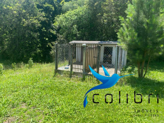 Imagem Chácara com 6 Quartos à Venda, 34.000 m² em Leão - Agudos Do Sul Imagem Chácara com 6 Quartos à Venda, 34.000 m² em Leão - Agudos Do Sul
