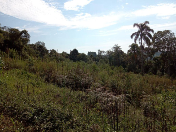 Imagem Chácara com 3 Quartos à Venda, 130.000 m² em Cantagalo - Antônio Olinto Imagem Chácara com 3 Quartos à Venda, 130.000 m² em Cantagalo - Antônio Olinto