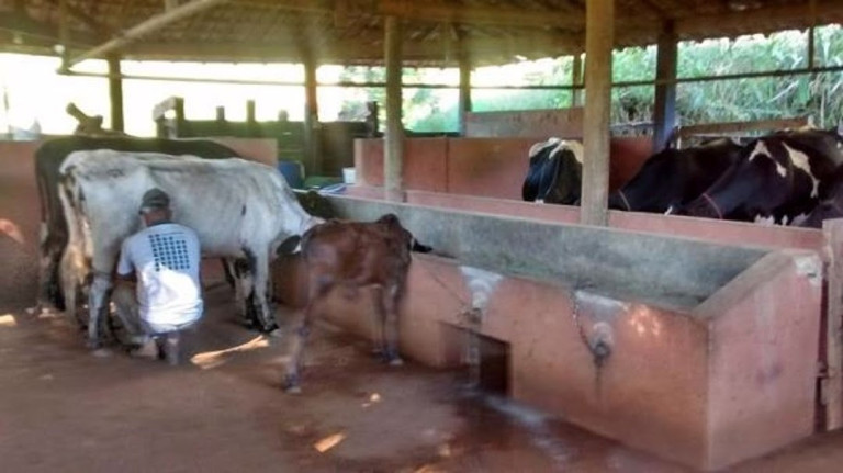 Imagem Chácara com 4 Quartos à Venda, 100 m² em Cunha - Cunha