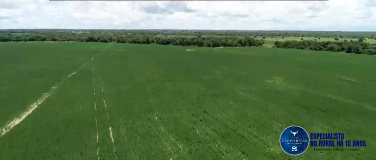 Imagem Fazenda à Venda, 228 m² em Zona Rural - São Miguel Do Araguaia Imagem Fazenda à Venda, 228 m² em Zona Rural - São Miguel Do Araguaia