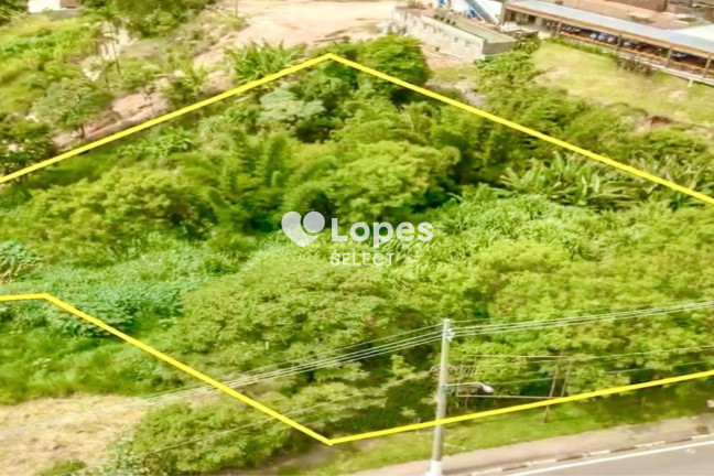Imagem Terreno à Venda, 3.491 m² em Bosque - Vinhedo Imagem Terreno à Venda, 3.491 m² em Bosque - Vinhedo