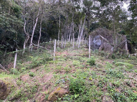 Imagem Terreno à Venda, 520 m² em Estaleirinho - Balneário Camboriú Imagem Terreno à Venda, 520 m² em Estaleirinho - Balneário Camboriú