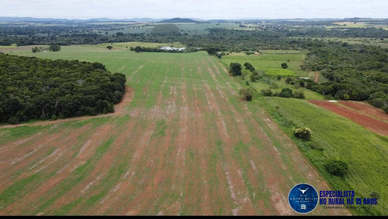 Imagem Fazenda à Venda, 30 m² em Zona Rural - Guapó Imagem Fazenda à Venda, 30 m² em Zona Rural - Guapó
