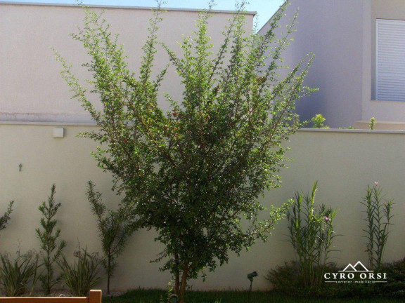 Imagem Casa com 3 Quartos à Venda, 200 m² em Loteamento São Francisco - Piracicaba
