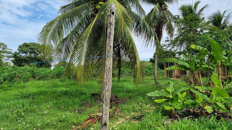 Imagem Terreno à Venda, 12.182 m² em Camará - Aquiraz