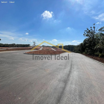 Imagem Terreno à Venda, 230 m² em Costeira - Araucária Imagem Terreno à Venda, 230 m² em Costeira - Araucária
