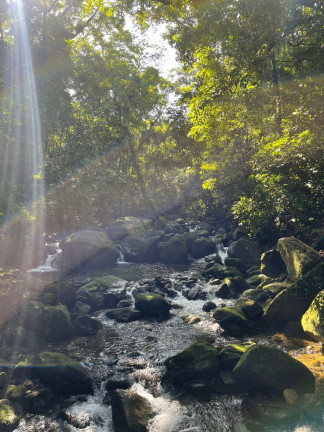 Imagem Imóvel com 5 Quartos à Venda, 20.000 m² em Maresias - São Sebastião Imagem Imóvel com 5 Quartos à Venda, 20.000 m² em Maresias - São Sebastião