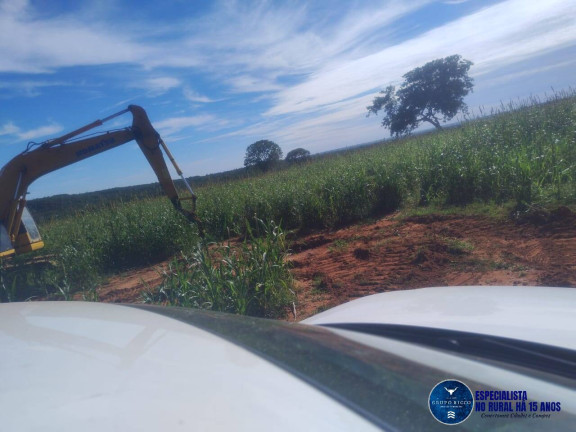 Imagem Fazenda à Venda, 219 m² em Zona Rural - Montes Claros De Goiás Imagem Fazenda à Venda, 219 m² em Zona Rural - Montes Claros De Goiás