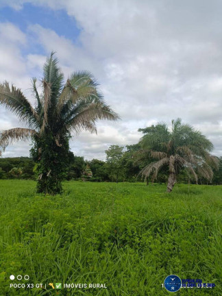 Imagem Chácara à Venda, 15 m² em Zona Rural - Matrinchã Imagem Chácara à Venda, 15 m² em Zona Rural - Matrinchã
