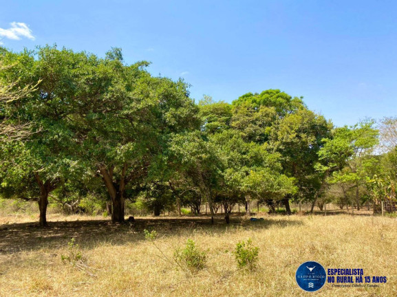 Imagem Chácara à Venda, 27 m² em Zona Rural - Bela Vista De Goiás Imagem Chácara à Venda, 27 m² em Zona Rural - Bela Vista De Goiás