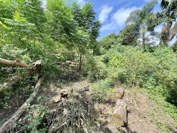 Imagem Terreno à Venda, em Vila Santo Antônio - Cotia Imagem Terreno à Venda, em Vila Santo Antônio - Cotia