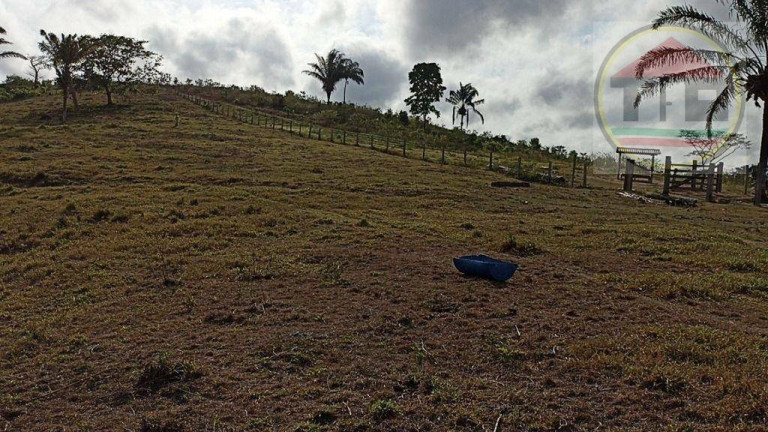 Imagem Fazenda à Venda, 2.032.800 m² em Br-230, Itupiranga - Pa, 68580-000, Brasil -5.024794, -49.459885 - Itupiranga Imagem Fazenda à Venda, 2.032.800 m² em Br-230, Itupiranga - Pa, 68580-000, Brasil -5.024794, -49.459885 - Itupiranga
