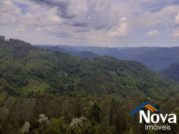 Imagem Imóvel à Venda, em Linha Olinda - Nova Petrópolis Imagem Imóvel à Venda, em Linha Olinda - Nova Petrópolis