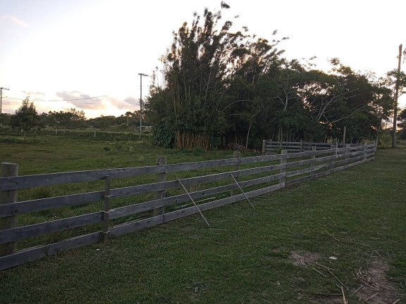 Imagem Chácara com 2 Quartos à Venda, 20.000 m² em águas Claras - Viamão