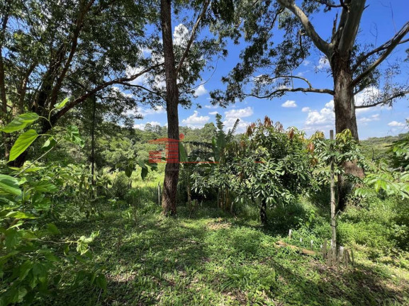 Imagem Imóvel com 4 Quartos à Venda, 248 m² em Granja Viana Ii - Cotia