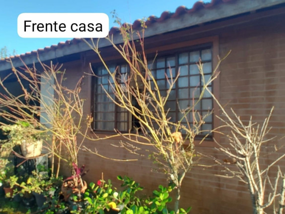 Imagem Chácara com 3 Quartos à Venda, 300 m² em Vila Amelia - Paraibuna Imagem Chácara com 3 Quartos à Venda, 300 m² em Vila Amelia - Paraibuna