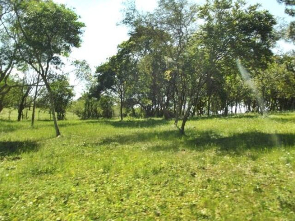 Imagem Chácara com 1 Quarto à Venda, 11 m² em águas Claras - Viamão