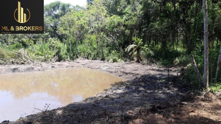 Imagem Imóvel à Venda, 20.000 m² em Quitandinha - Quitandinha Imagem Imóvel à Venda, 20.000 m² em Quitandinha - Quitandinha
